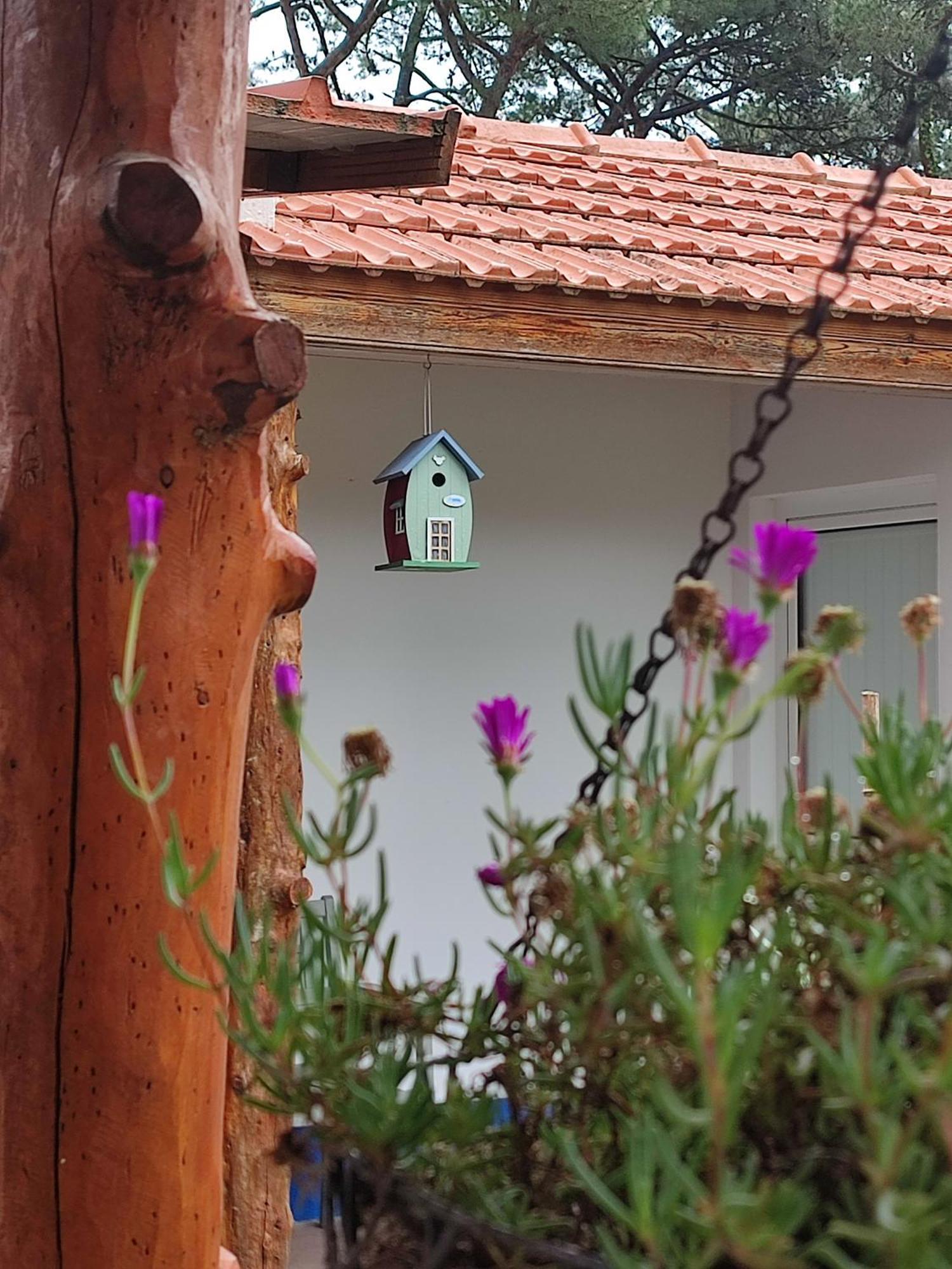 הוילה קולארס Casinha Do Pinhal מראה חיצוני תמונה